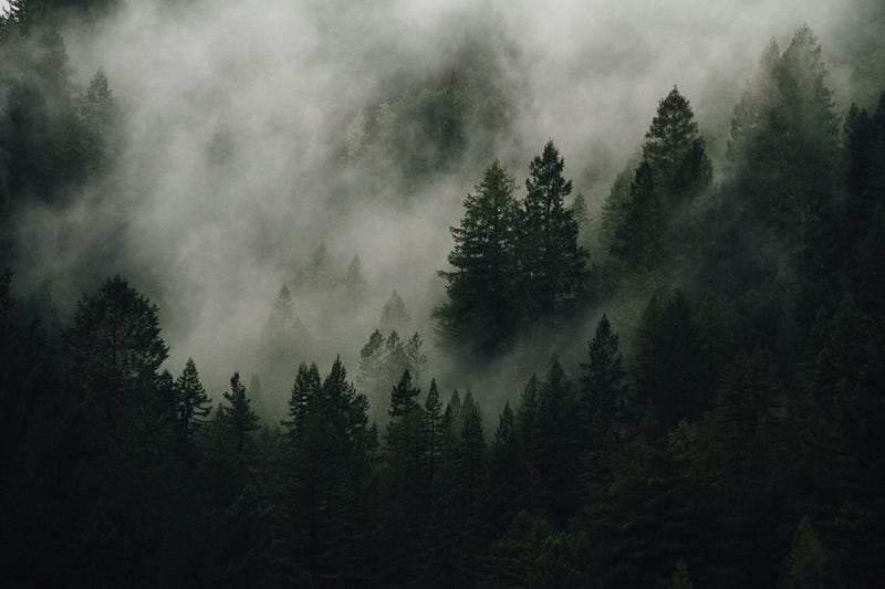 I Forced Myself to Use Only Built-In Functions in Python for a Week