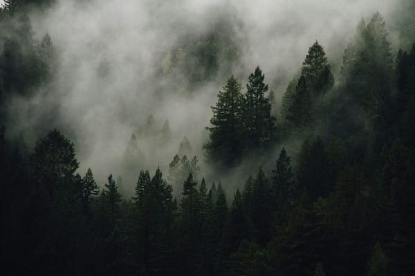 I Forced Myself to Use Only Built-In Functions in Python for a Week