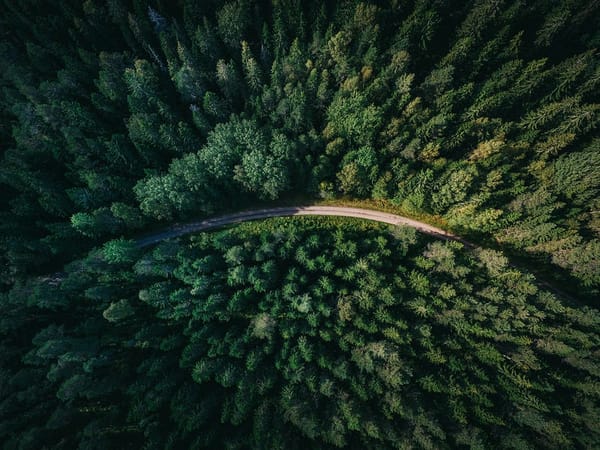 Clean Code in Python: 10 Rules to Follow in 2025