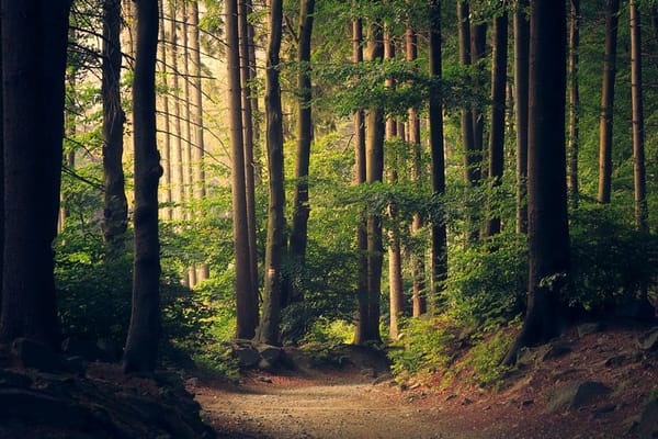 FastAPI + PostgreSQL: Build a Production-Ready REST API the Right Way
