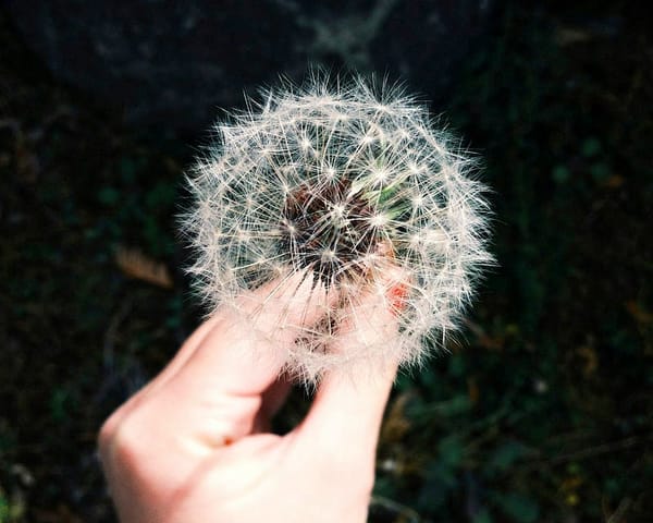 7 Things I Wish I Knew About Python FastAPI