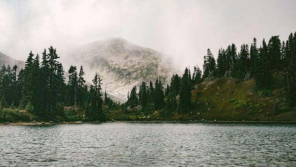 15 Useful Middlewares for Django That You Should Know About 🚀