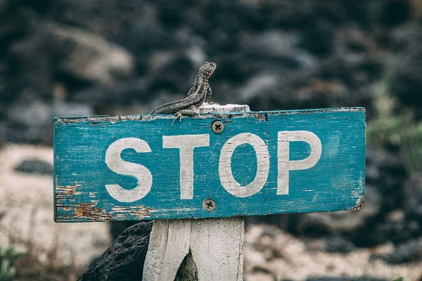 Stop Using Python Sets Like Lists — Here’s What You’re Missing