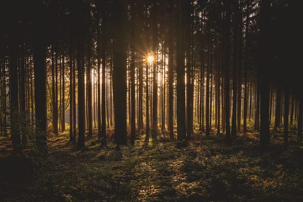 This One FastAPI Middleware Saved Me 100+ Debugging Hours