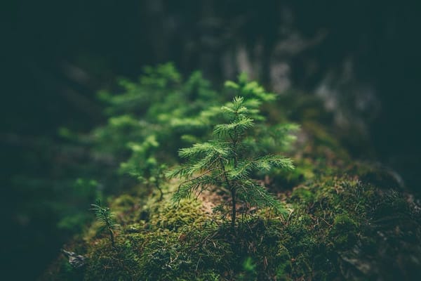 Don’t Use Loops in Python Until You Read This!